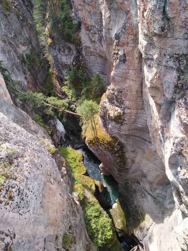 Maligne Canyon