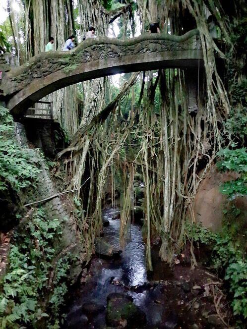 Ubud Monkey Forest