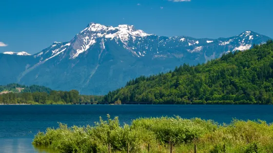 哈里森湖