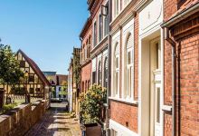 刁四藤椒麻辣烫(无极店)美食图片