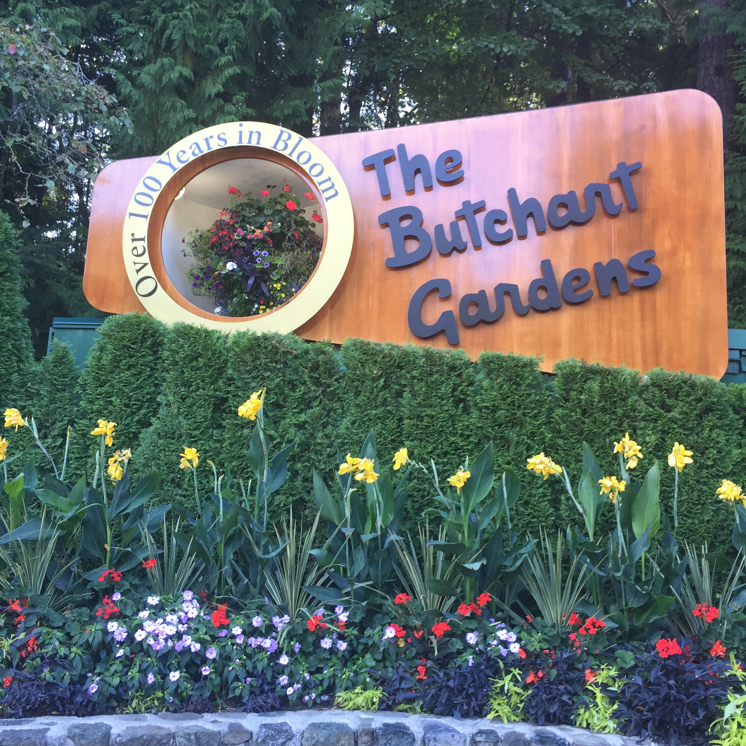 The Butchart Gardens 之前是私人花园， 不想越来越受到大家的关注， 最后成为了世
