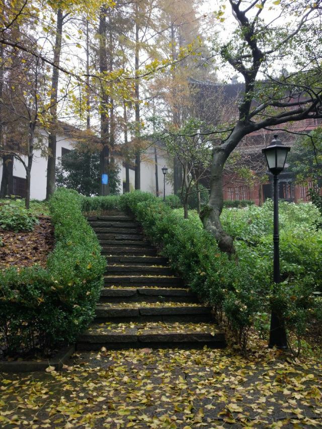 다펑산 셴포구 관광지구