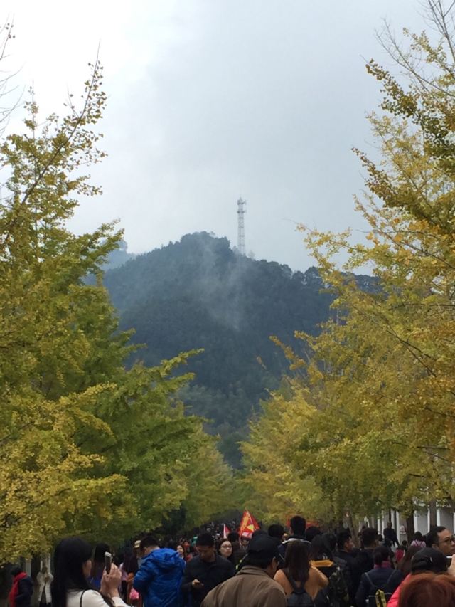 마오쯔펑 린창