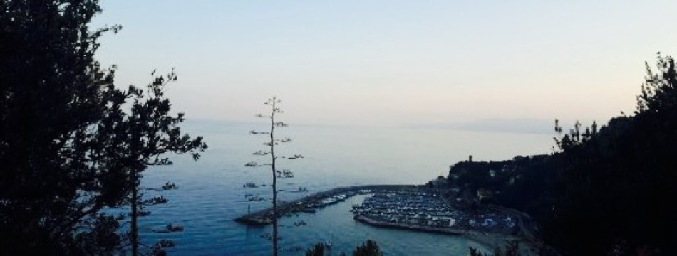 La Selva餐厅图片