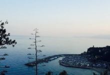 La Selva美食图片