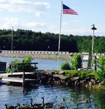 Cyndi's Dockside Restaurant餐厅图片