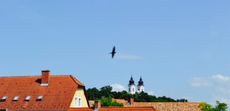 Fogas Csarda餐厅图片