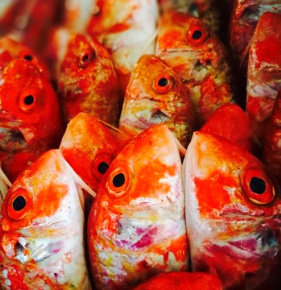 Al Pesciolino D'Oro餐厅图片