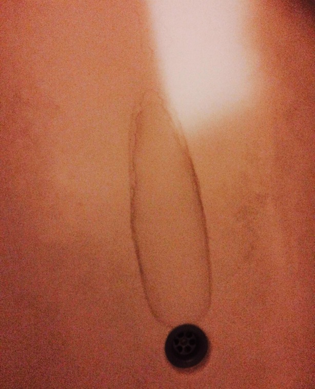 The Rising Sun餐厅图片