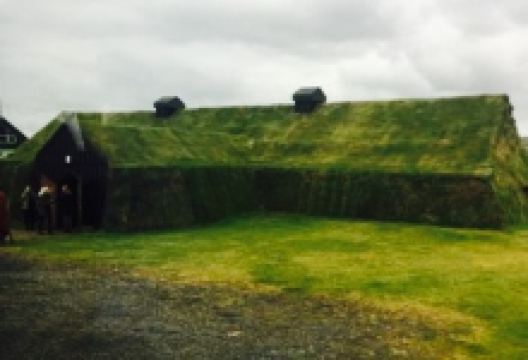 Ingolfsskali Viking Restaurant美食图片