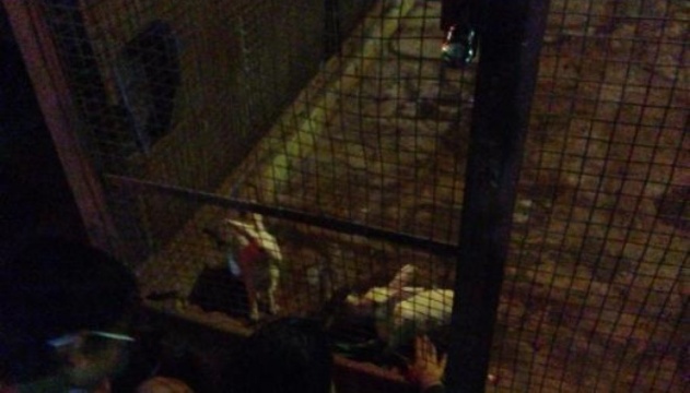 Dara's Dhaba餐厅图片