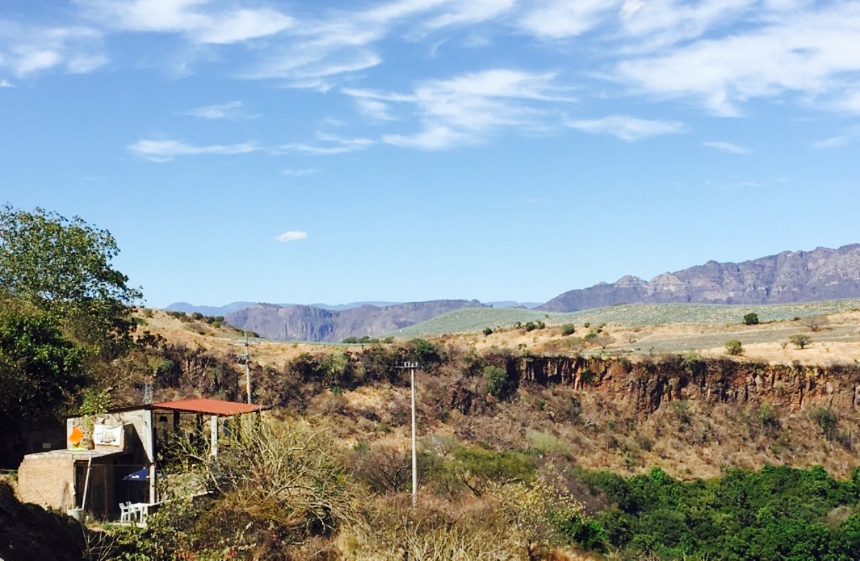 LA TABERNITA餐厅图片