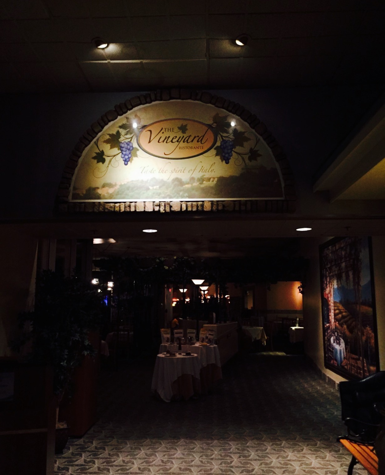 The Vineyard餐厅图片