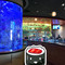 Kanki Japanese House of Steaks