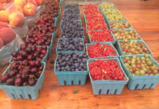 Briermere Farms美食图片