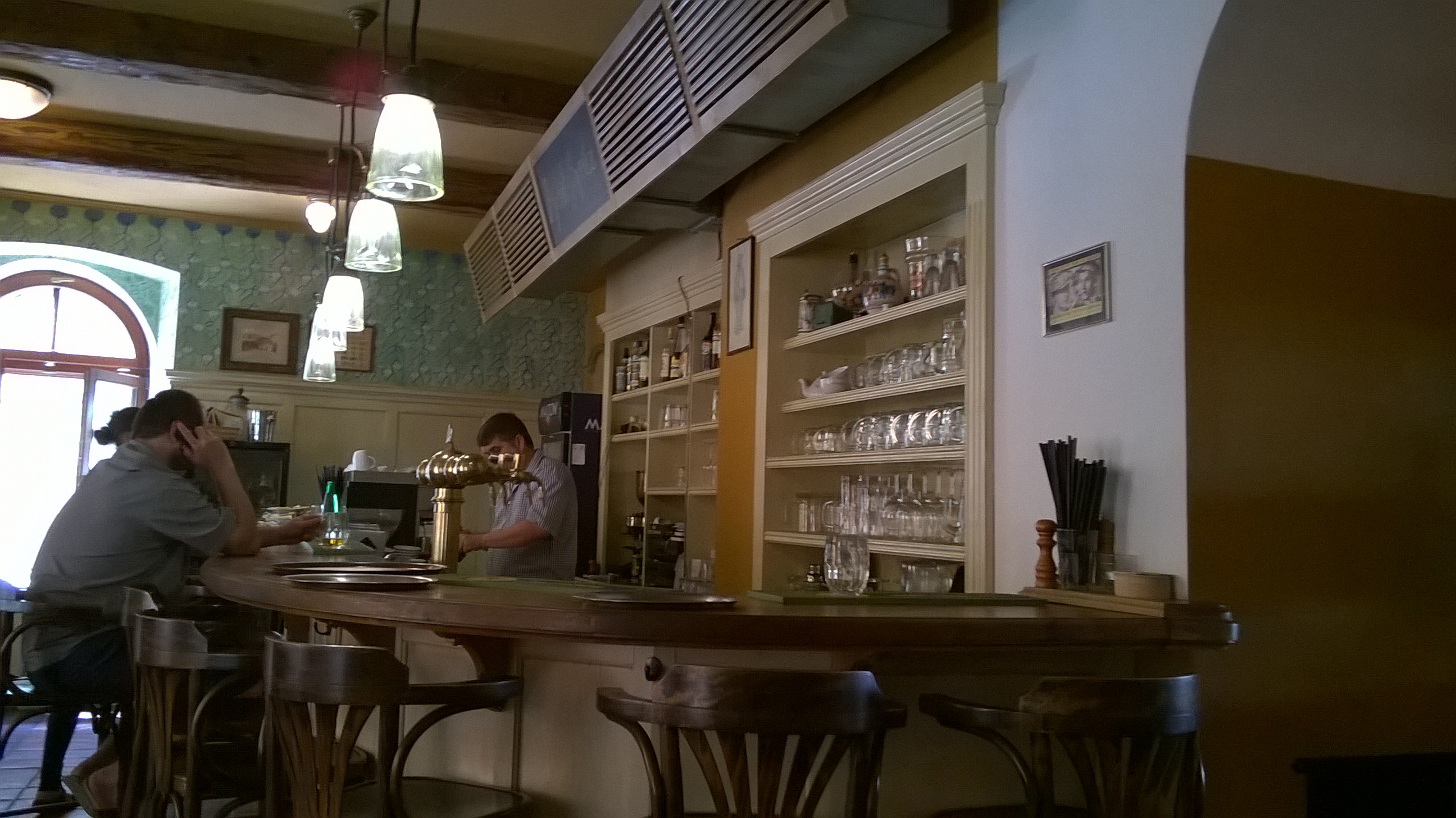 U Zeleneho stromu餐厅图片