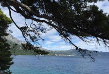 Restaurant Filippi美食图片