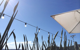 The Boathouse Palm Beach