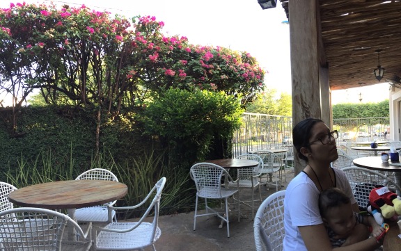 Fazendaria Cafe