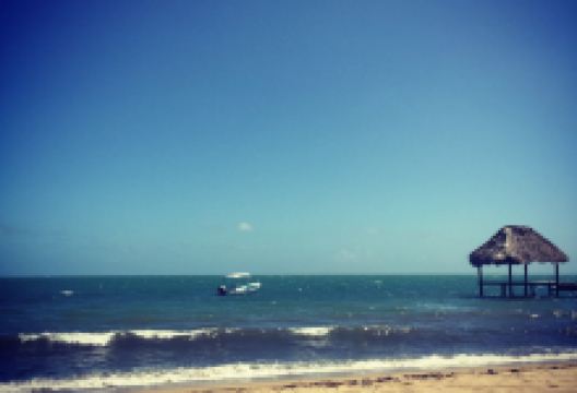The Paddle House Beachfront Restaurant美食图片