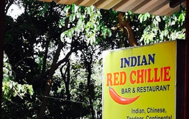 Indian Red Chillie