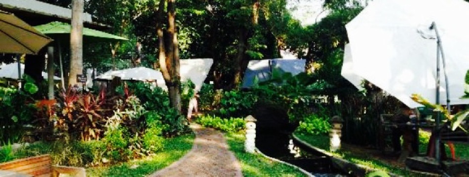 Cafe de Forest餐厅图片