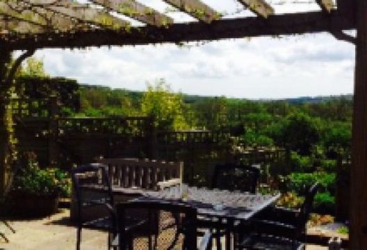 Salehurst Halt and The Salehurst Halt美食图片