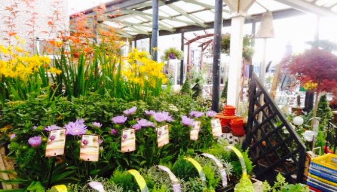 Fairley's Garden Centre餐厅图片