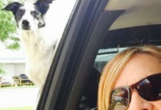 Heidi's Coffee Cabin美食图片