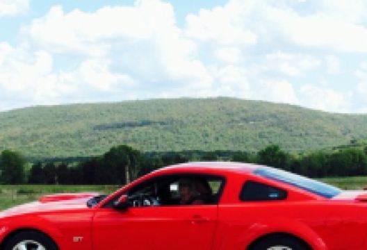 McDonald's美食图片