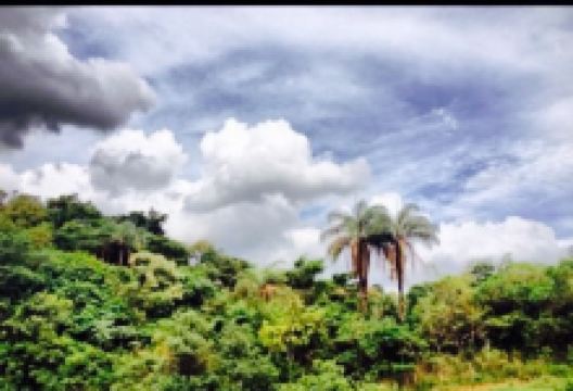 Rancho do Peixe美食图片