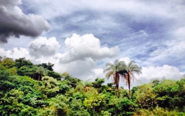 Rancho do Peixe