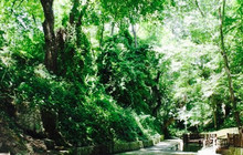Old Fountain餐厅图片