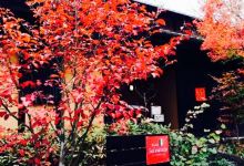Osteria E Bar Selvatico美食图片
