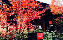 Osteria E Bar Selvatico餐厅图片