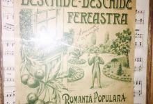 Tara Luanei美食图片