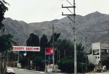 Mi Rosedal美食图片
