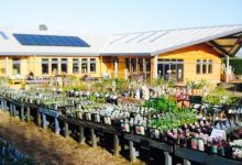 Sturmer Nurseries Garden Centre Tearoom美食图片