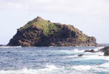 Arepera EL Roque美食图片