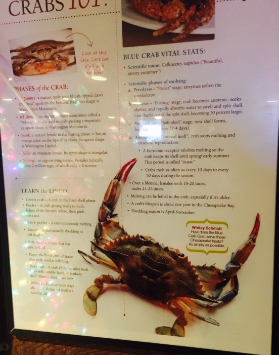 Anne Arundel Seafood
