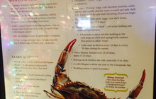 Anne Arundel Seafood餐厅图片