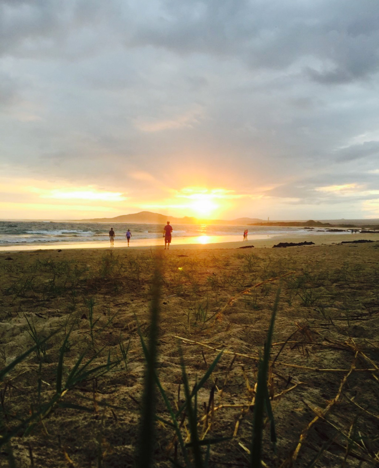 Iguana Point Bar餐厅图片