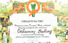 Restaurant Parizhzh餐厅图片