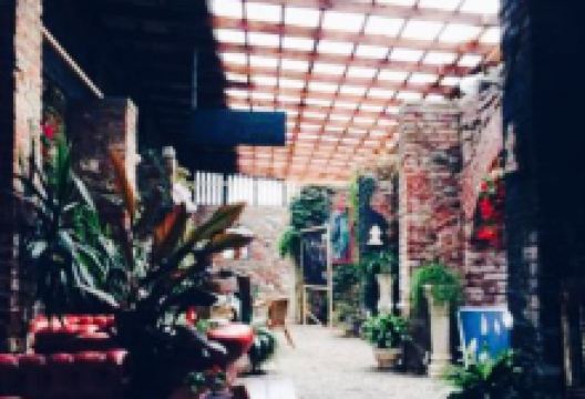 Delisnack美食图片