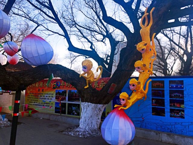 Nanhu Park