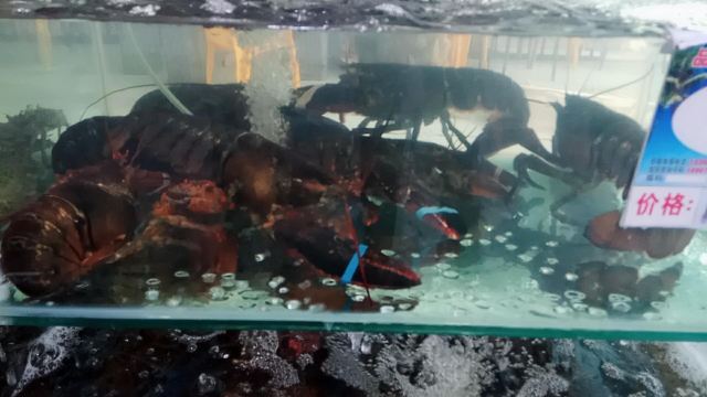 Xiaohaitun Seafood Restaurant