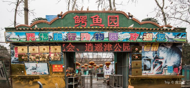 Xiaoyaojin Aquarium Tickets Deals Reviews Family - 