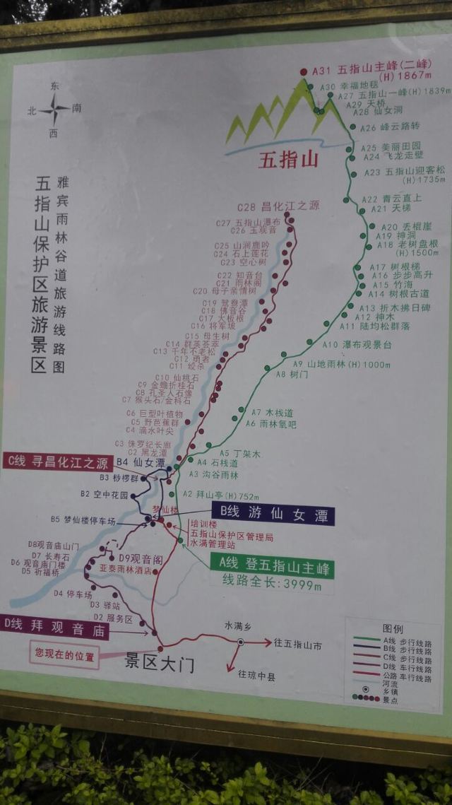 Wuzhishan Tropical Rainforest