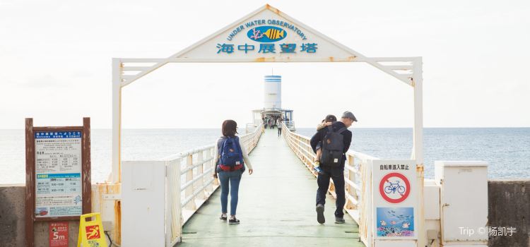 Busena Marine Park Tickets Deals Reviews Family - 