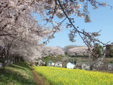 尾根緑道-町田市-是条胳膊